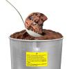 Americana Collection Elite EIM-1432M 1.5 Quart Automatic Easy Homemade Electric Ice Cream Maker, Frozen Yogurt, Sorbet, Gelato Treat, with Recipes, Mint(4 Quart)