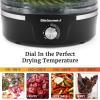 Elite Gourmet EFD319 Food Dehydrator, 5 BPA-Free 11.4″ Trays Adjustable Temperature Controls, Jerky, Herbs, Fruit, Veggies, Dried Snacks, Black(Black)