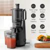 Elite Gourmet EJX017 Whole Fruit 3” Feeding Chute, Dynamic Masticating Slow Juicer, High Yield Cold Press Juice Extractor, Nutrient and Vitamin Dense, Easy to Clean, 27 oz Juice Cup, Black(Graphite)