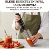 Elite Gourmet EHB1015 Immersion Hand Blender 500 Watts 2 Speed Mixing with Stainless Steel Blades, Detachable Wand Stick Mixer, Smoothies, Baby Food, Soup, Black(Black/Stainless Steel)